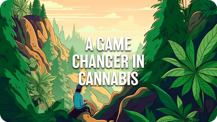 PUFF THC: A Game Changer in Legal Cannabis