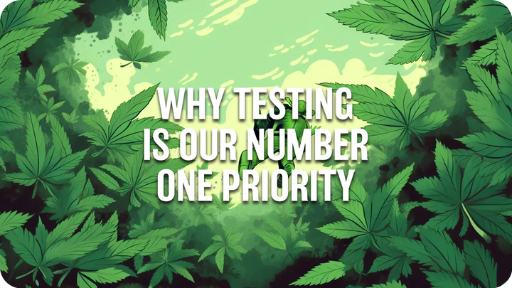 Why its important to test cannabis products? full panel coa